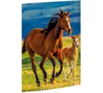 Carton à dessin 'Chaton', A3