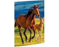 Tekenmap 'Huiskat' A3