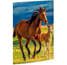 Carton à dessin 'Chaton', A3