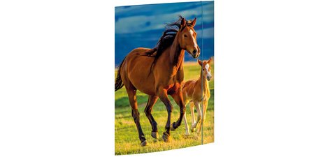 Carton à dessin 'Chaton', A3