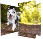 Carton à dessin 'Free Horses', A3