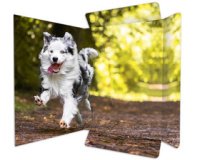 Carton à dessin 'Free Horses', A3