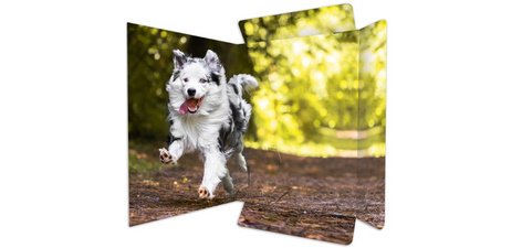 Carton à dessin 'Free Horses', A3