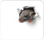 Mouse Mat Block 'Little Mouse', 240 x 220 mm