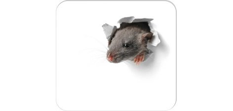 Mouse Mat Block 'Little Mouse', 240 x 220 mm