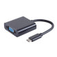 BASIC-S Câble adaptateur USB 3.1 - VGA