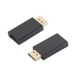 BASIC-S Adaptateur DisplayPort - HDMI, noir