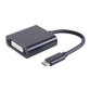 BASIC-S Câble adaptateur USB 3.1 - DVI