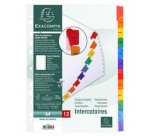 Intercalaire A4 carte bristol blanc Exacompta 12 onglets mensuels - Coloris assortis - 1 jeu