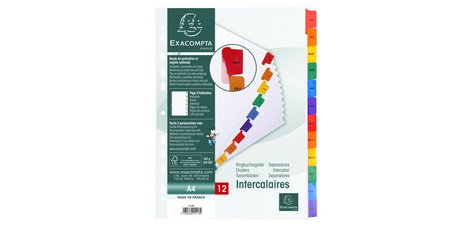 Indices 12 Pt Jan-Dec Plastic Col Tabs - White
