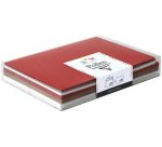 Coffret Pollen uni de 20 enveloppes 114x162mm + 20 cartes 110x155mm - Assortiment Noël scandinave - Assortiment