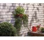 Vis adhésive pour brique, rond, 5,0 kg