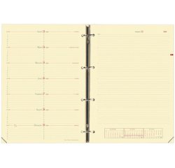 Recharge 'Timer 29 Notes', 2025/2026, 16 mois