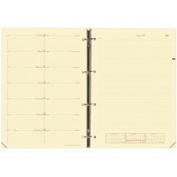 Recharge 'Timer 29 Notes', 2025/2026, 16 mois