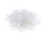 Plumes soyeuses, 100 g, blanc