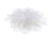 Plumes soyeuses, 10 g, blanc