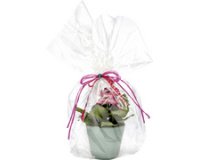 Film pour emballage cadeau, 20 microns, non imprimé