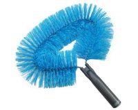 Tête de loup professionnel, forme ovale