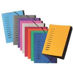 Sorteermap Sorting File, A4-formaat, 12 vakken, donkerroze