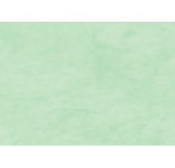 Papier cadeau 'kraft', vert bourgeon