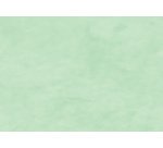 Kraft coul. 65g, rl 10x0,70m Vert mousse - Vert mousse