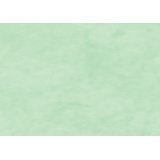 Kraft coul. 65g, rl 10x0,70m Vert mousse - Vert mousse