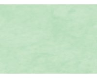 Kraft coul. 65g, rl 10x0,70m Vert mousse - Vert mousse