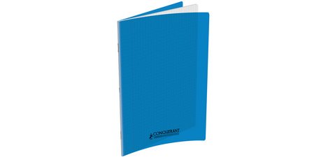 Notebook 210 x 297 mm, Seyès, assorted