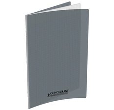 Cahier 210 x 297 mm, Seyès