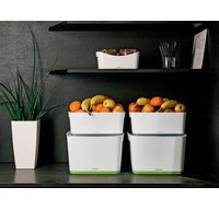 Boîte de rangement My Box, 18 litres