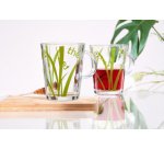 Tasse à thé en verre AVEDA, 380 ml