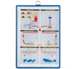 by tarifold Porte copie, A4 portrait, bleu