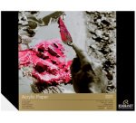 ROYAL TALENS REMBRANDT Bloc d'artiste 'Acrylique', 240 x 320