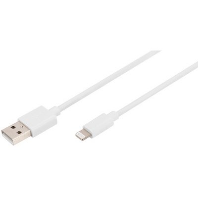 Cable de données et de recharge, Apple Lightning