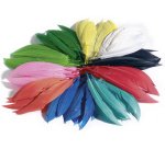 Plumes d'indiens, 100 g, assorti