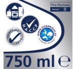 Professionnal Dégraissant puissant, spray 750 ml