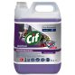 Nettoyant désinfectant concentré 2in1 Professional, 5 L