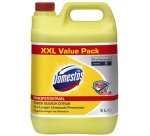 Nettoyant hygiénique Citrus Fresh Professional,