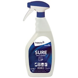 Nettoyant pour vitre 'Glass Cleaner', pulvérisateur de
