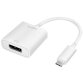 Câble adaptateur USB-C - DisplayPort, blanc