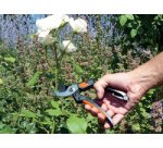 Sécateur de jardin Garten Primus