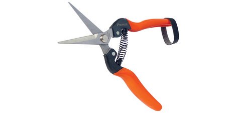 Ciseaux de jardin 'Ciseaux magiques'