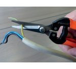 Ciseaux de jardin 'Ciseaux magiques'