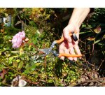 Sécateur de jardin 'Sécateur spécial rosier'