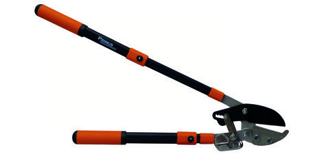 Coupe-branches à enclume-sécateur, crémaillère