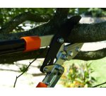 Coupe-branches à enclume-sécateur, crémaillère