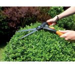 Cisaille à buis, grand, longueur: 435 mm