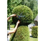 Cisaille à buis, grand, longueur: 435 mm