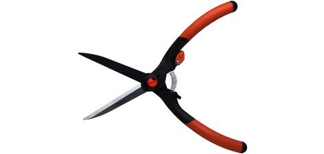 Cisaille à buis, grand, longueur: 435 mm