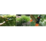 Cisaille à haies multifonctionnelle 3 en 1